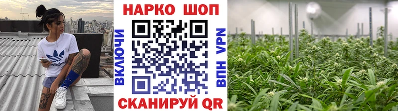 Где купить Опочка МАРИХУАНА A-PVP Меф
