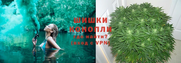 прущая мука Арсеньев
