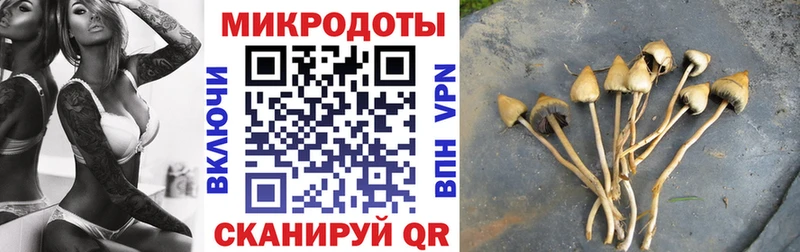 Псилоцибиновые грибы прущие грибы  Опочка 